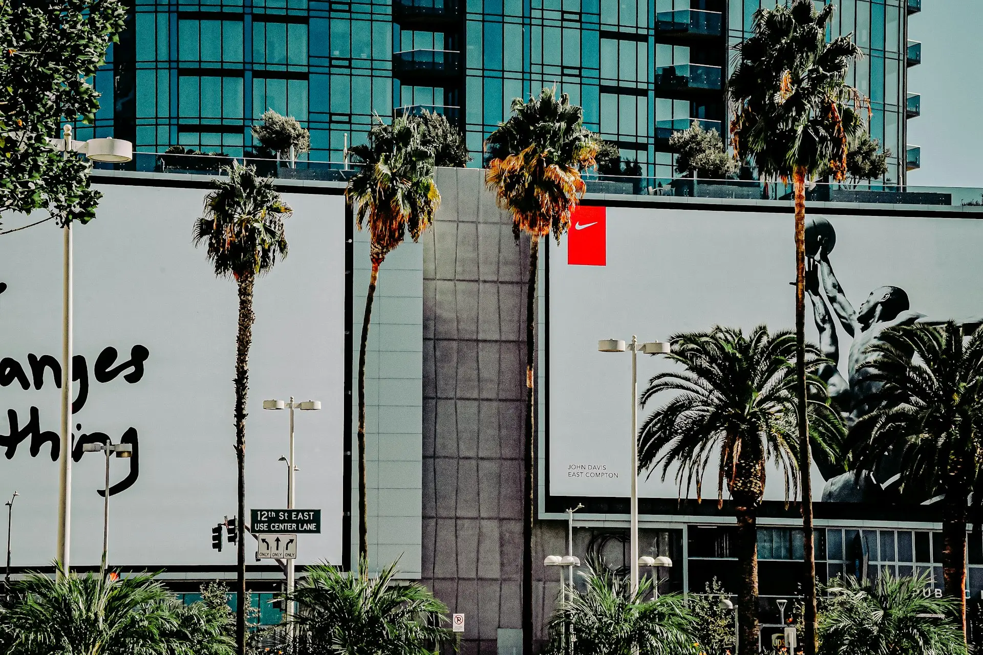 green palm tree near white concrete building during daytime